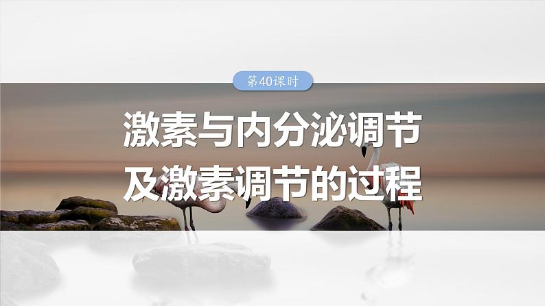 2025届高三一轮复习生物：激素与内分泌调节及激素调节的过程课件第1页