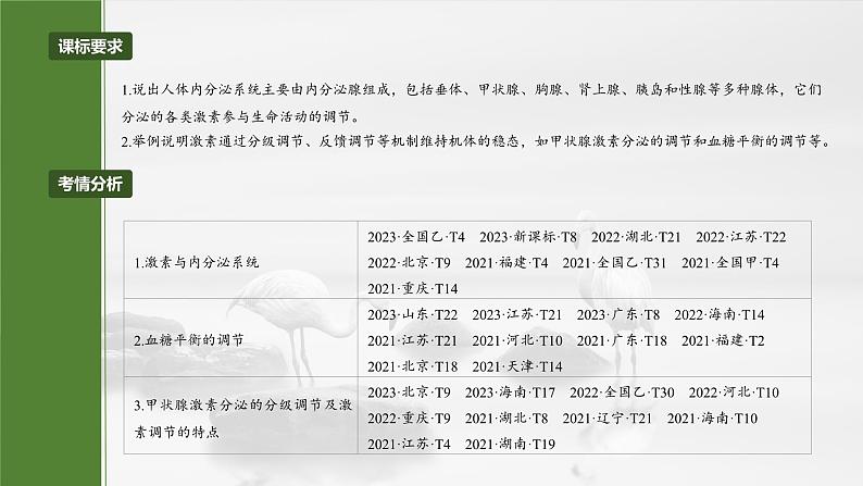 2025届高三一轮复习生物：激素与内分泌调节及激素调节的过程课件第2页