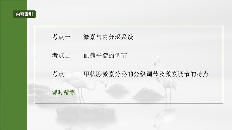 2025届高三一轮复习生物：激素与内分泌调节及激素调节的过程课件第3页