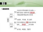 2025届高三一轮复习生物：激素与内分泌调节及激素调节的过程课件
