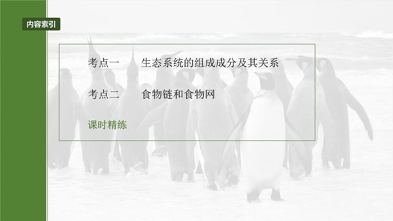 2025届高三一轮复习生物：生态系统的结构课件第3页