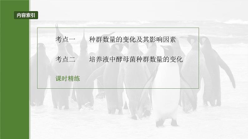 2025届高三一轮复习生物：种群数量的变化及其影响因素课件03