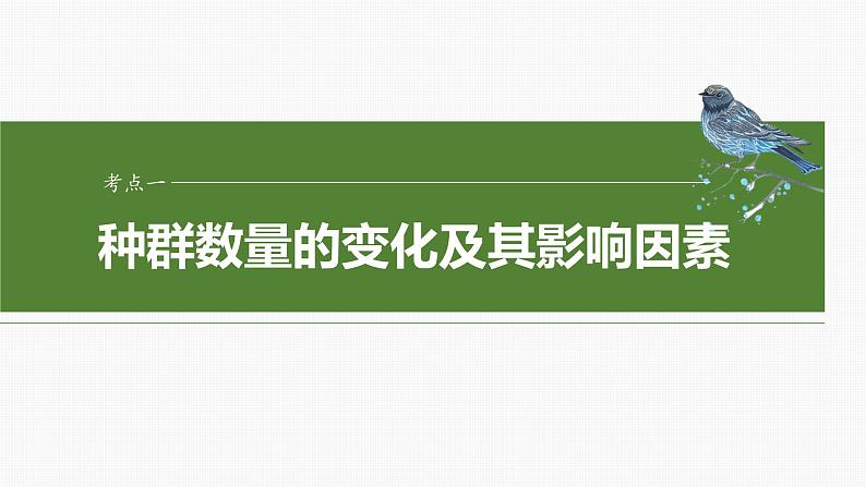 2025届高三一轮复习生物：种群数量的变化及其影响因素课件04