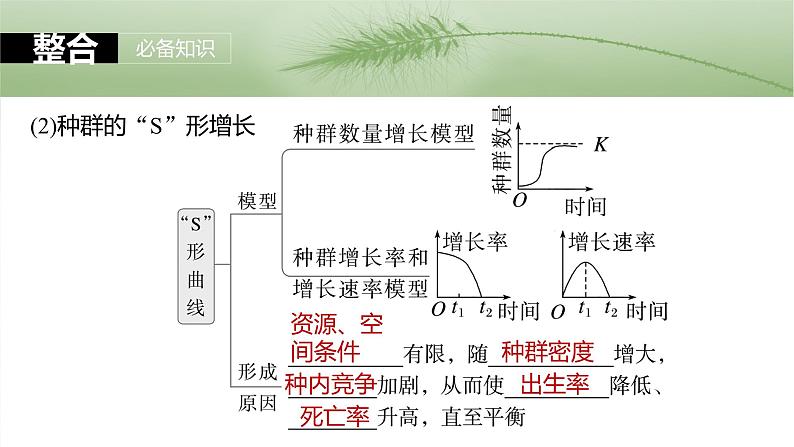 2025届高三一轮复习生物：种群数量的变化及其影响因素课件08