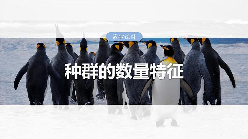 2025届高三一轮复习生物：种群的数量特征课件01