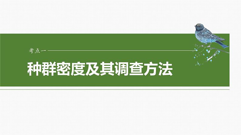 2025届高三一轮复习生物：种群的数量特征课件04