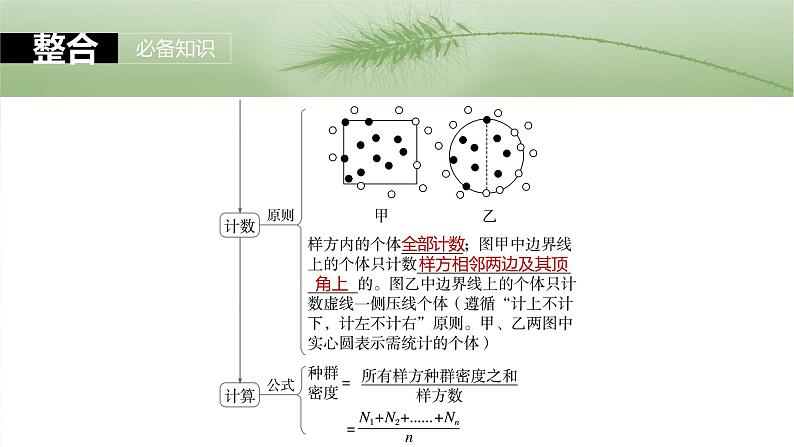 2025届高三一轮复习生物：种群的数量特征课件08