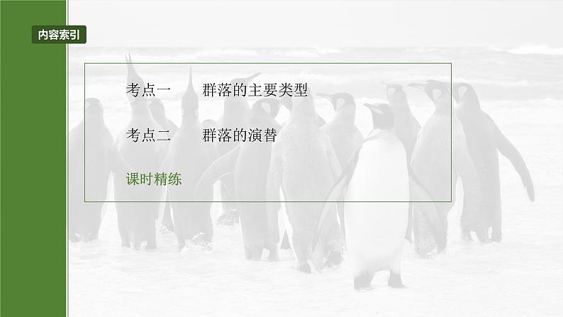 2025届高三一轮复习生物：群落的主要类型及演替课件第3页