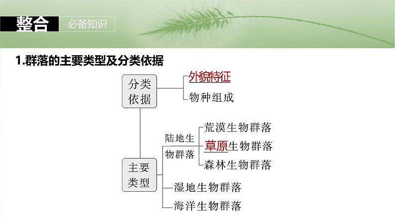 2025届高三一轮复习生物：群落的主要类型及演替课件第5页