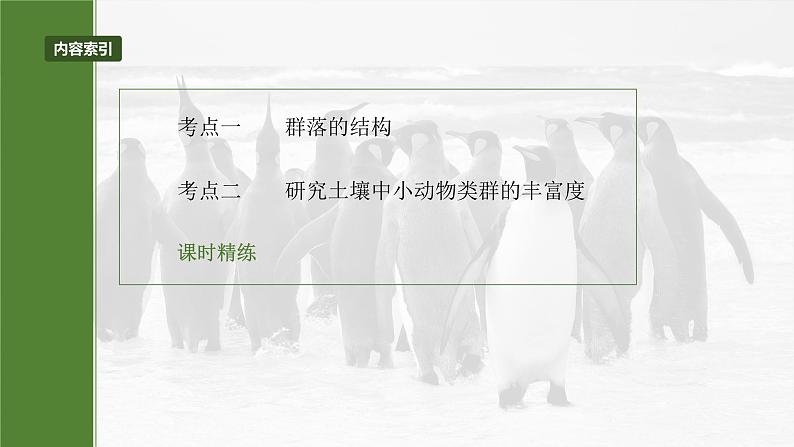 2025届高三一轮复习生物：群落的结构课件第3页