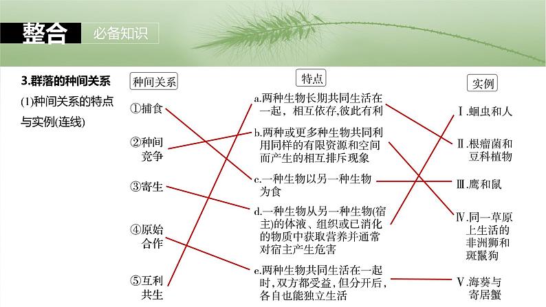 2025届高三一轮复习生物：群落的结构课件第8页