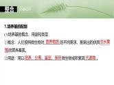 2025届高三生物一轮复习课件第十单元　第57课时　微生物的培养技术与应用