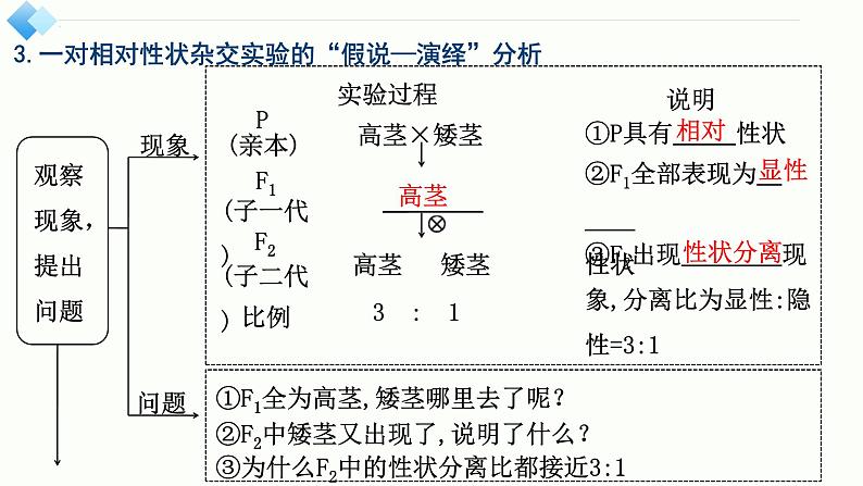 2025届高三生物一轮复习课件第16讲　分离定律的发现及应用第6页