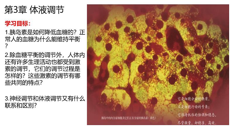 3.1激素与内分泌系统（第一课时）课件2024-2025学年高二上学期生物人教版选择性必修一第1页