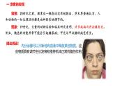 3.1激素与内分泌系统（第一课时）课件2024-2025学年高二上学期生物人教版选择性必修一