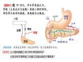 3.1激素与内分泌系统（第一课时）课件2024-2025学年高二上学期生物人教版选择性必修一