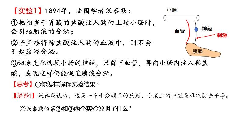 3.1激素与内分泌系统（第一课时）课件2024-2025学年高二上学期生物人教版选择性必修一第5页