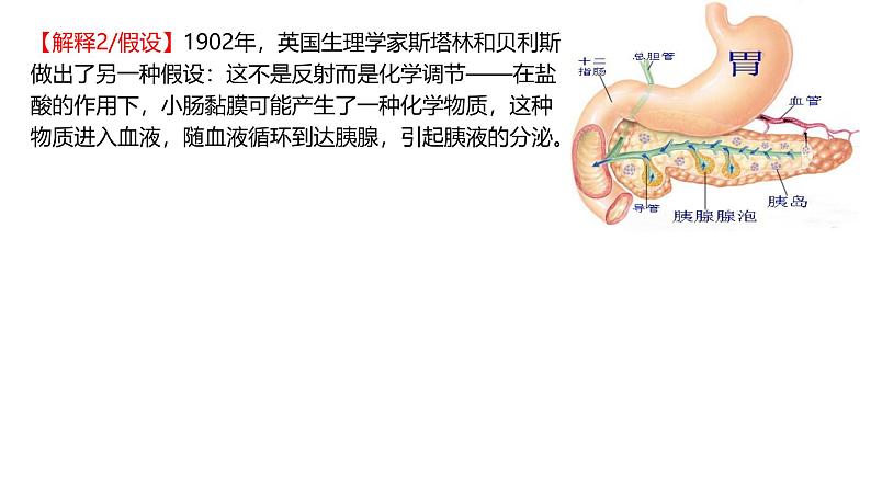 3.1激素与内分泌系统（第一课时）课件2024-2025学年高二上学期生物人教版选择性必修一第6页