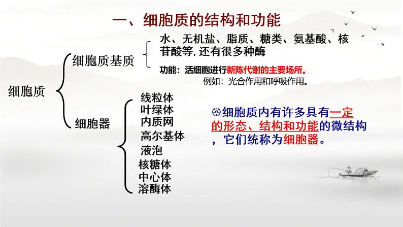 3.2细胞器之间的分工合作课件-2024-2025学年高一上学期生物人教版必修1第3页