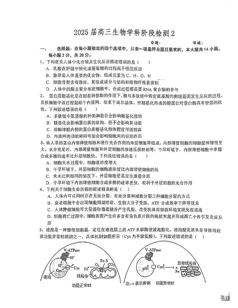 江苏省盐城市射阳县江苏省射阳中学2024-2025学年高三上学期10月月考生物试题第1页