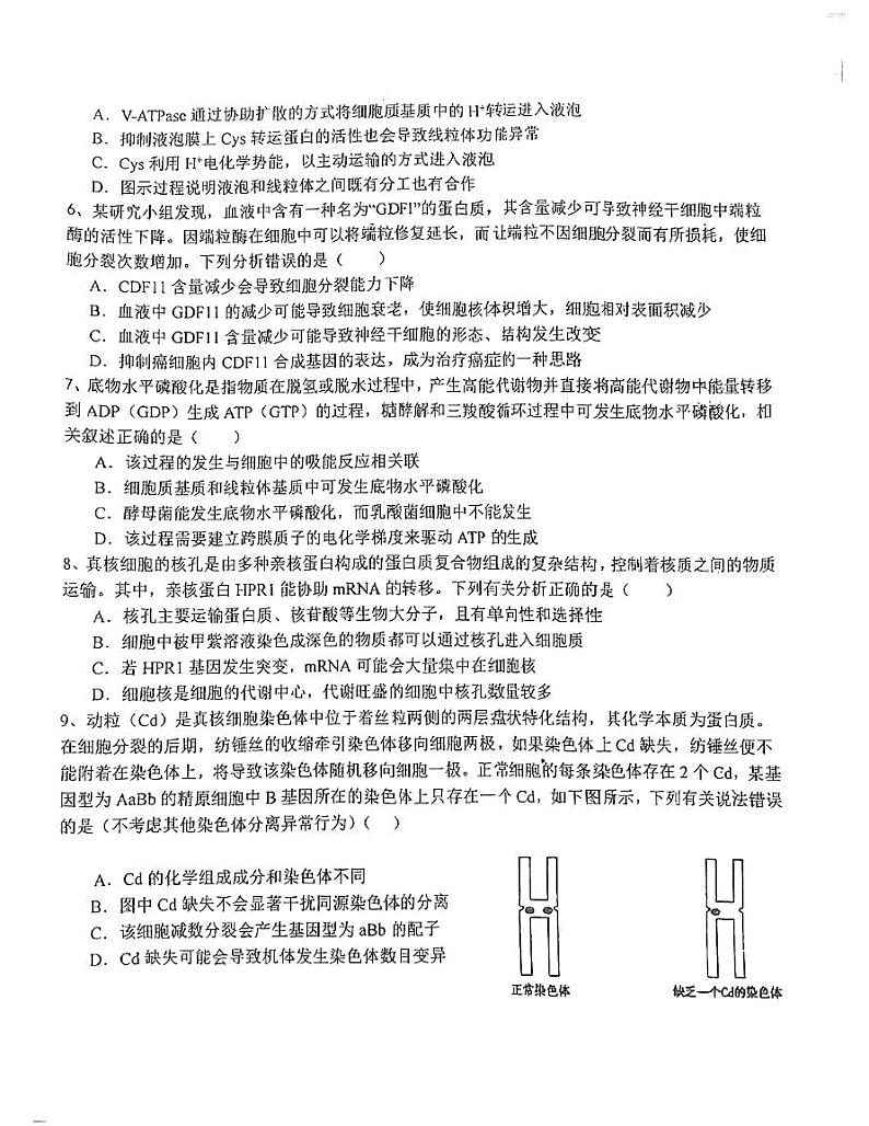 江苏省盐城市射阳县江苏省射阳中学2024-2025学年高三上学期10月月考生物试题第2页
