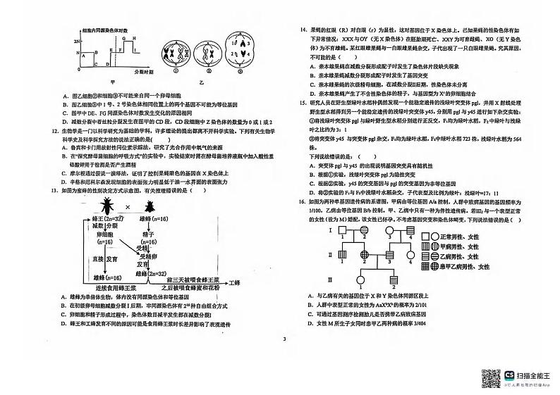 生物丨安徽省六安市第一中学2025届高三10月第二次月考生物试卷及答案第3页