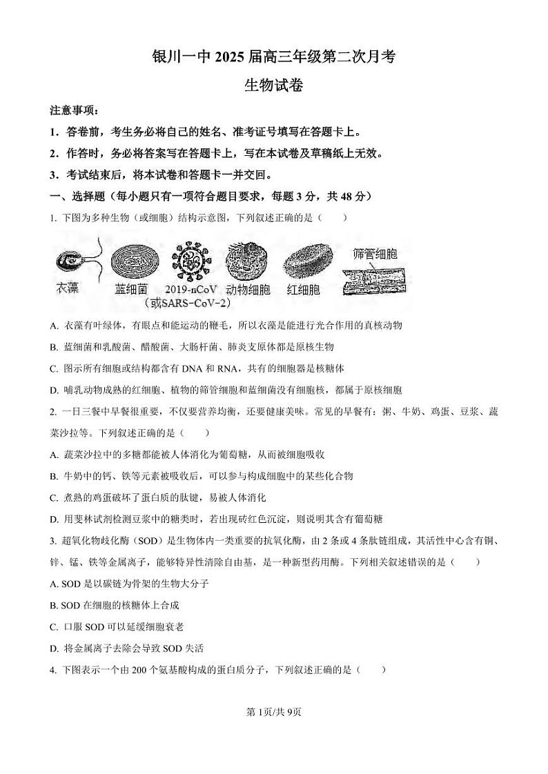 生物丨宁夏回族自治区银川一中2025届高三10月第二次月考生物试卷及答案第1页