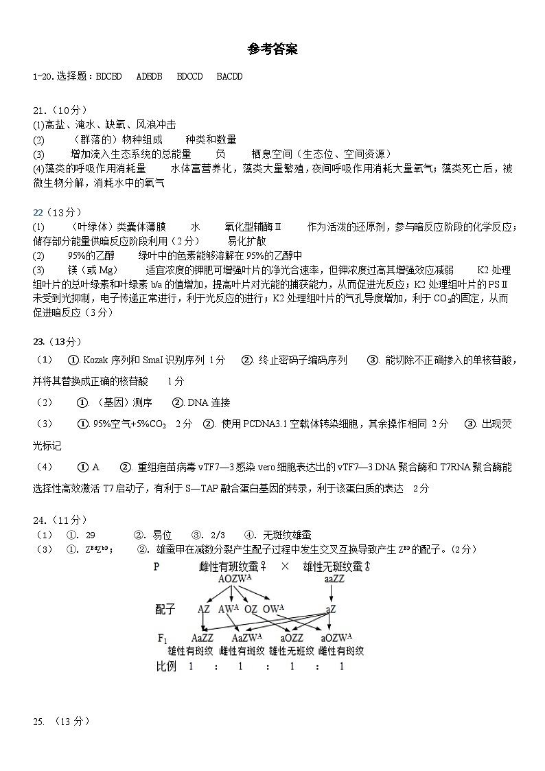 浙江省金华市金东区金华第一中学2024-2025学年高三上学期10月月考生物试题参考答案第1页