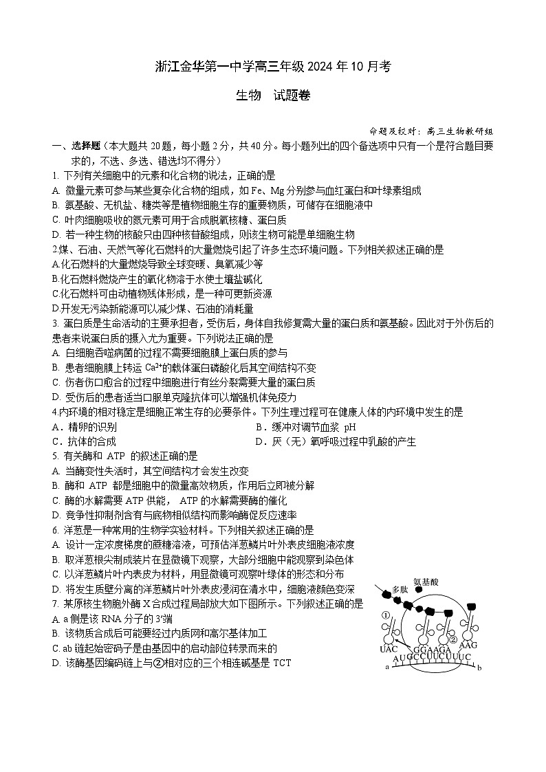 浙江省金华市金东区金华第一中学2024-2025学年高三上学期10月月考生物试题第1页