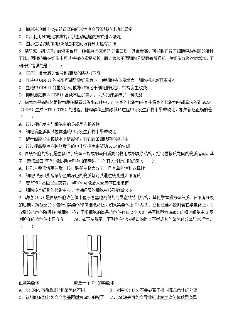 江苏省盐城市射阳县江苏省射阳中学2024-2025学年高三上学期10月月考生物试题第2页