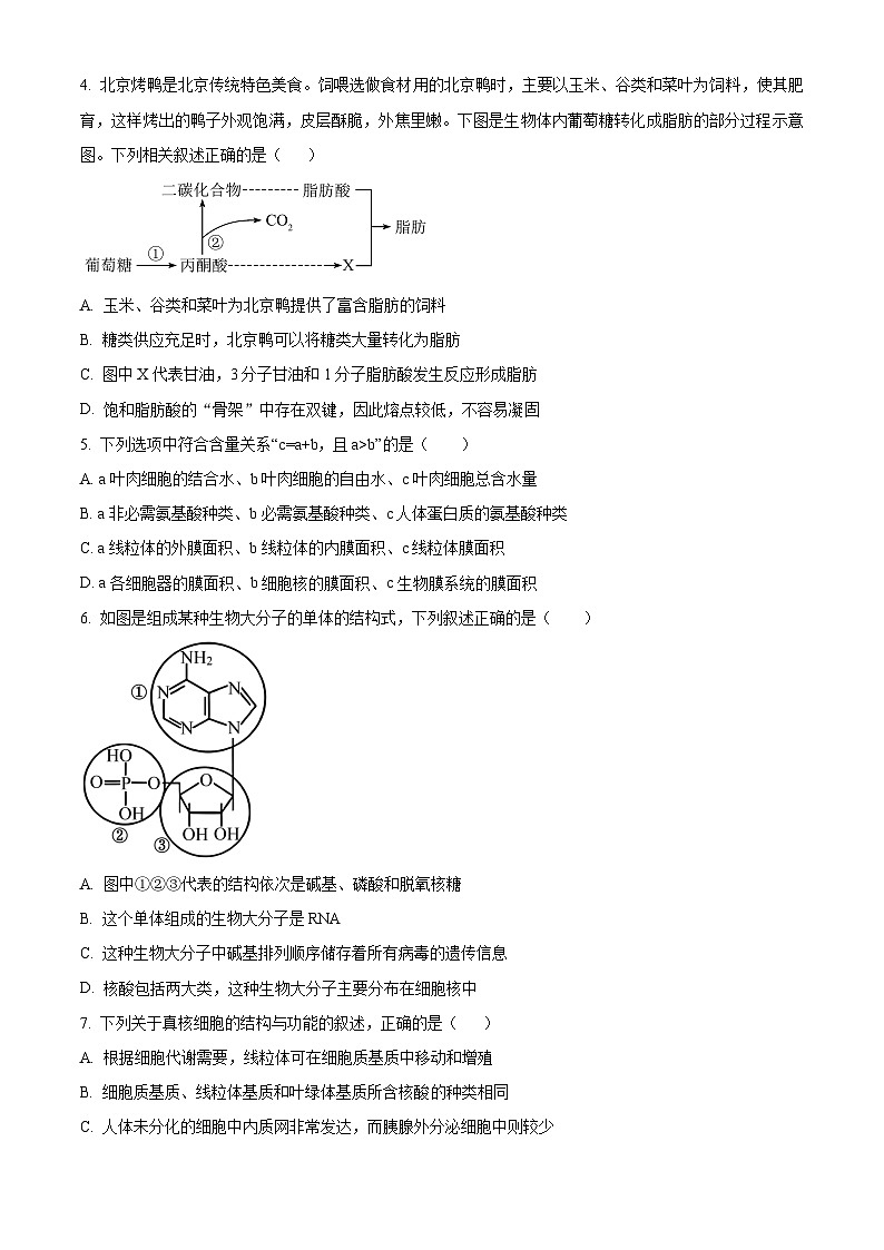 陕西省西安中学2024-2025学年高三上学期10月月考生物试题第2页