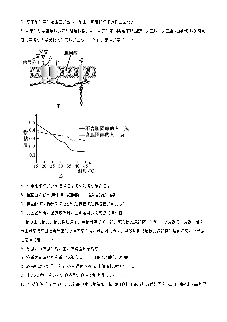 陕西省西安中学2024-2025学年高三上学期10月月考生物试题第3页