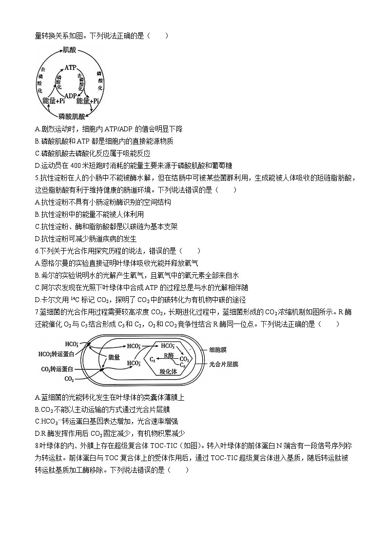 山东省新高考联合体2024—2025学年高三上学期质量测评10月联考生物试题02