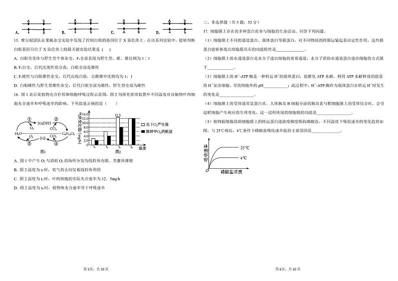 四川省资阳天立学校2024-2025学年高三上学期第一次月考生物试题第3页