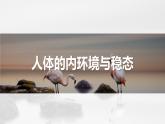 专题01 内环境与稳态（串讲课件）-2024-2025学年高二生物上学期期中考点大串讲（浙科版2019必修1）