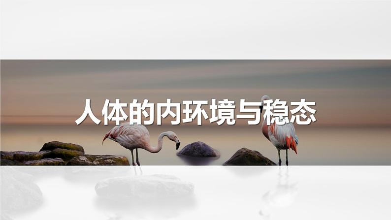 专题01 内环境与稳态（串讲课件）-2024-2025学年高二生物上学期期中考点大串讲（浙科版2019必修1）01