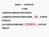 专题01 内环境与稳态（串讲课件）-2024-2025学年高二生物上学期期中考点大串讲（浙科版2019必修1）