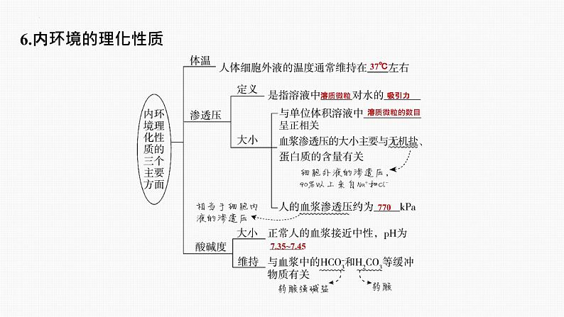 专题01 内环境与稳态（串讲课件）-2024-2025学年高二生物上学期期中考点大串讲（浙科版2019必修1）08