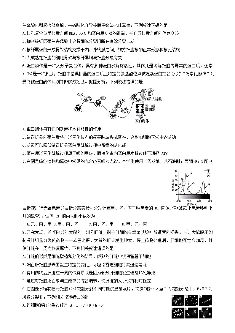 生物学用（雅礼2次）第2页