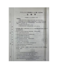 河北省邢台市2024-2025学年高二上学期第一次月考生物试题