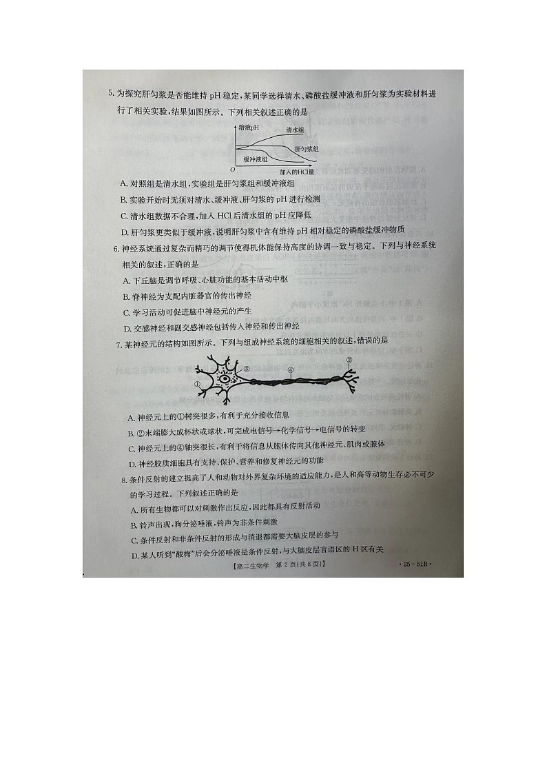 河北省邢台市2024-2025学年高二上学期第一次月考生物试题第2页