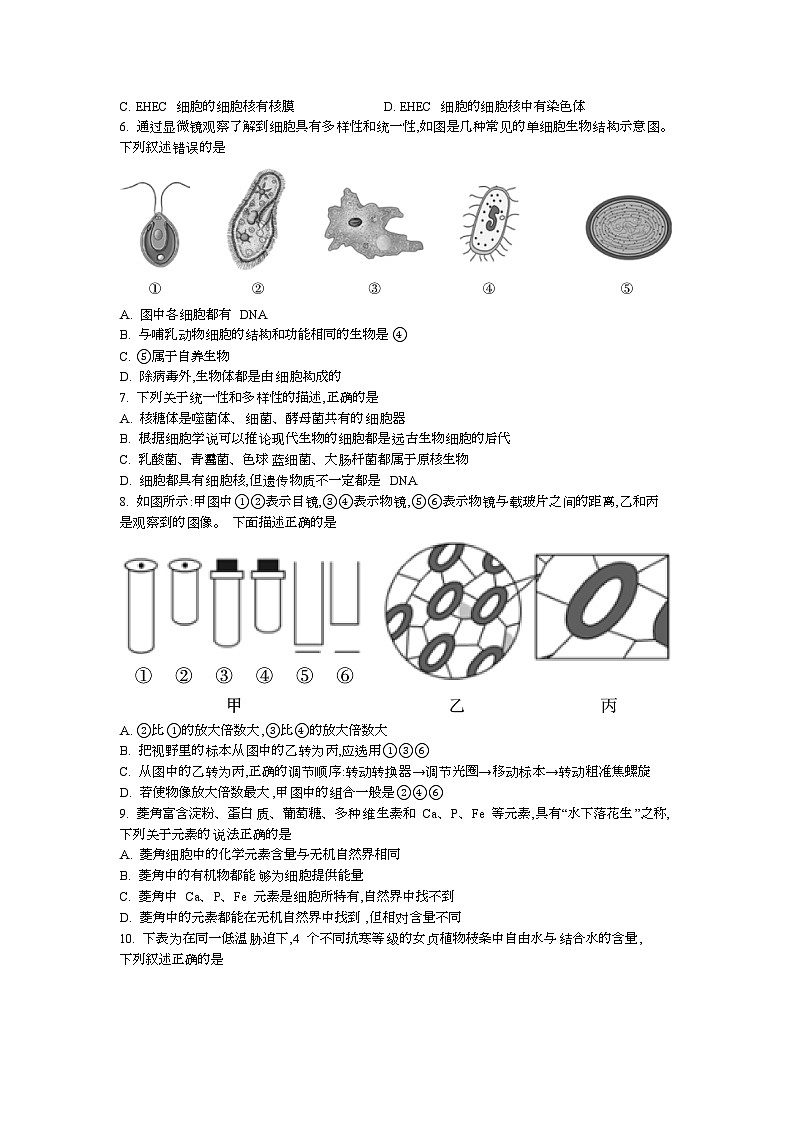 陕西省咸阳市实验中学2024-2025学年高一上学期第一次月考生物试题第2页