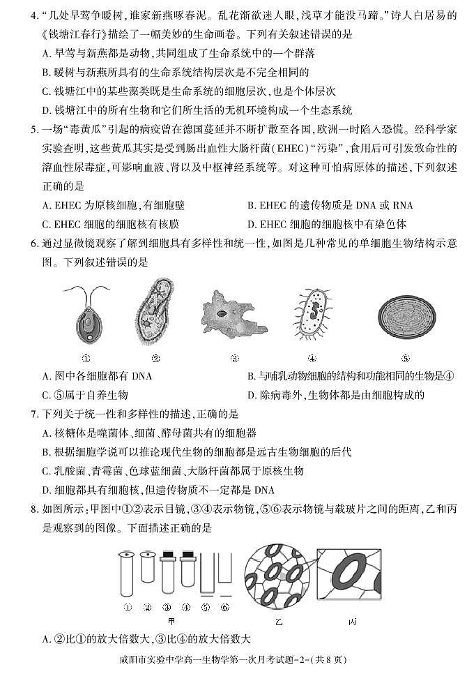 陕西省咸阳市实验中学2024-2025学年高一上学期第一次月考生物试题第2页