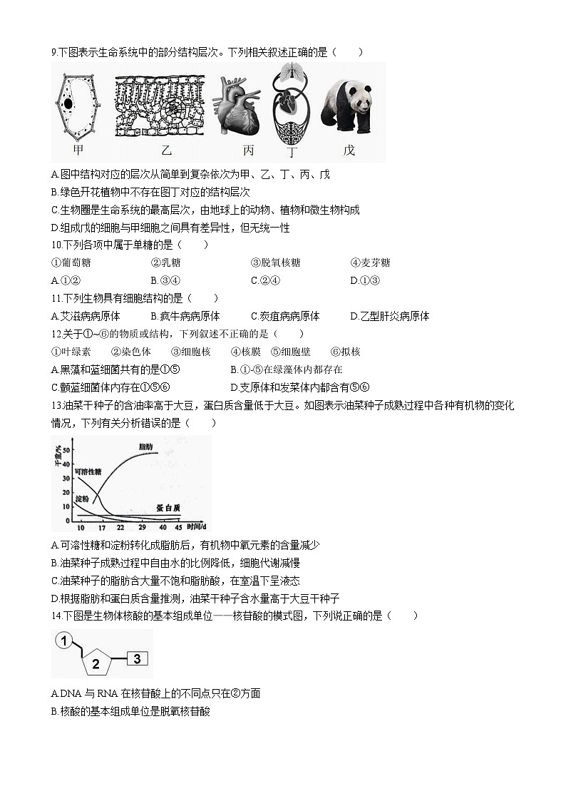 福建省宁德市某校2024-2025学年高一上学期9月月考生物试题第2页