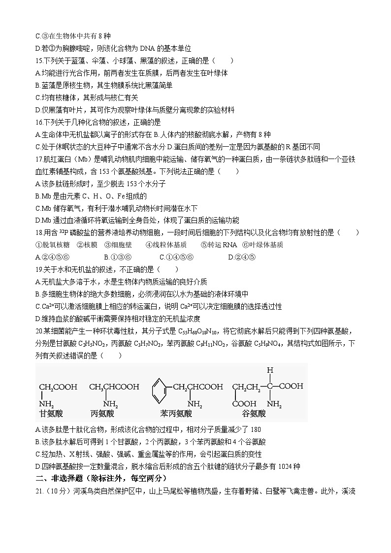 福建省宁德市某校2024-2025学年高一上学期9月月考生物试题第3页