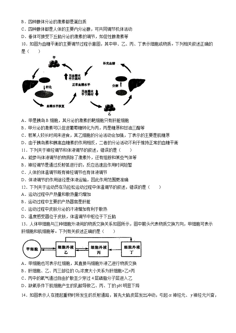 甘肃省武威市天祝藏族自治县第一中学2024-2025学年高二上学期10月月考生物试题第3页