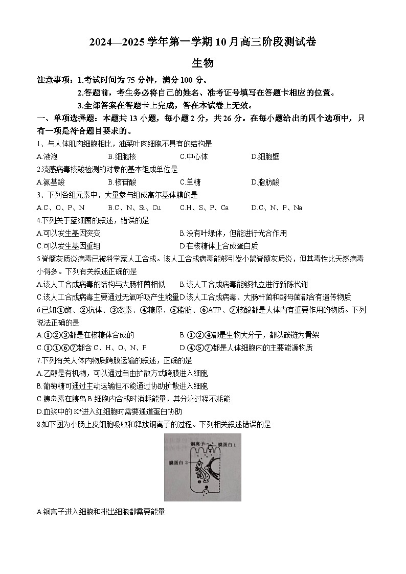河北省张家口市尚义县第一中学2024-2025学年高三上学期10月阶段测试生物试卷(无答案)第1页
