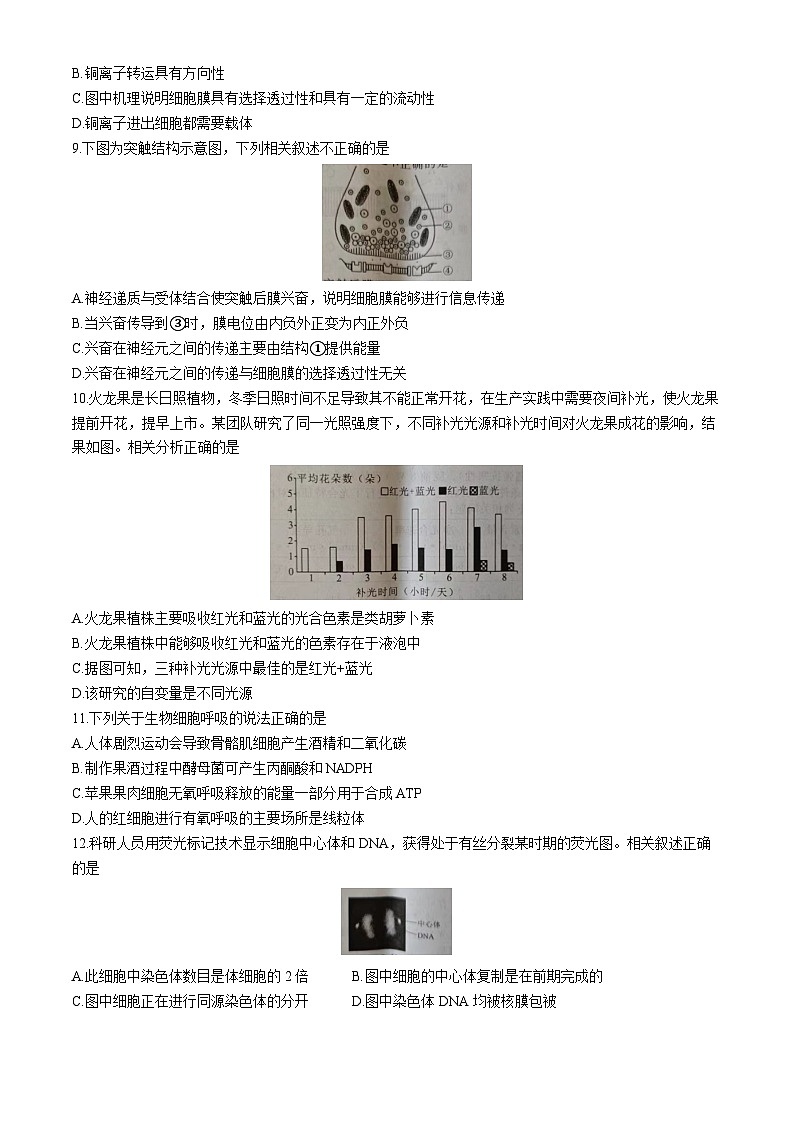 河北省张家口市尚义县第一中学2024-2025学年高三上学期10月阶段测试生物试卷(无答案)第2页
