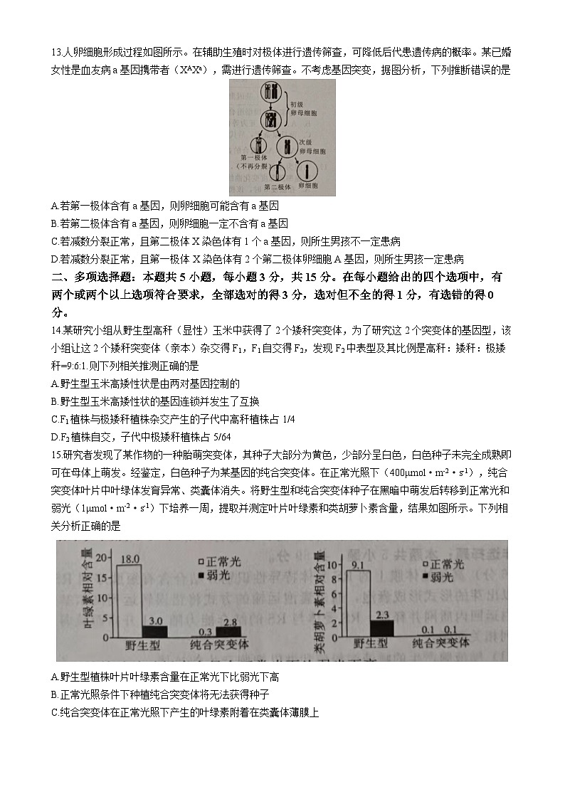 河北省张家口市尚义县第一中学2024-2025学年高三上学期10月阶段测试生物试卷(无答案)第3页