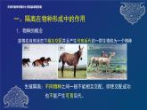 2024-2025学年高一生物教学课件 物种的形成、协同进化与生物多样性的形成